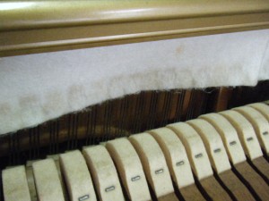DSCF9134