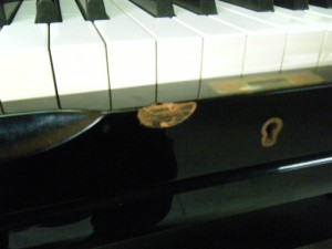 DSCF9311