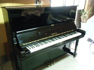 DSCF7227