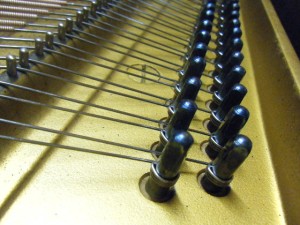 DSCF9814