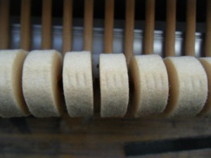 DSCF9506