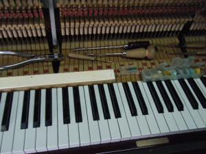 DSCF9512
