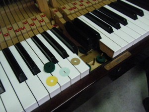 DSCF9516