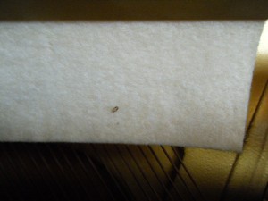 DSCF9719