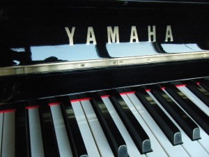 DSCF9900