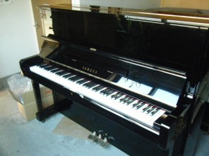 DSCF9902