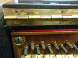 DSCF7029