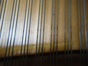 DSCF7046