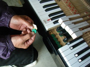 DSCF7129