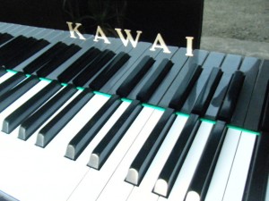 DSCF7140