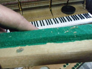 DSCF7138