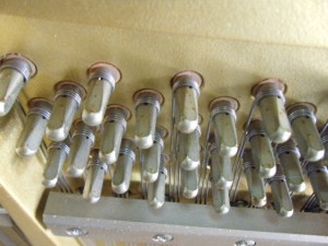 DSCF7174
