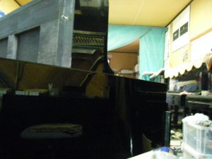 DSCF7375