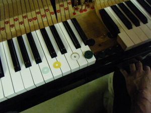 DSCF7718