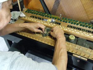 DSCF7883