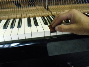 DSCF7934