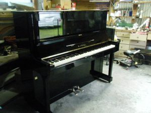 DSCF7939
