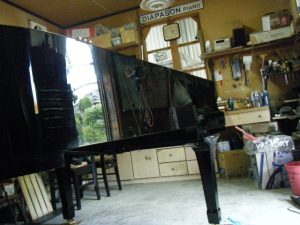DSCF5254