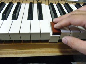DSCF5281