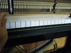 dscf5350