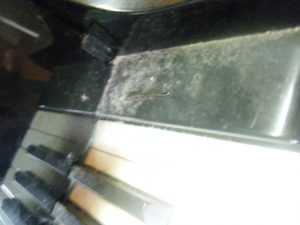 dscf5678