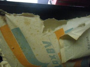 dscf5683