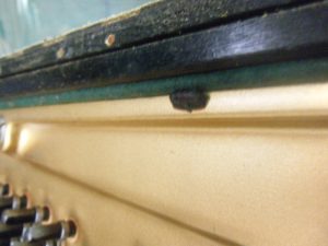dscf5689