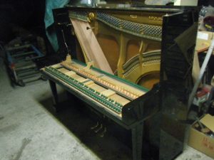 dscf5046